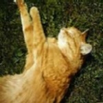 Louise Birdsell Bauer